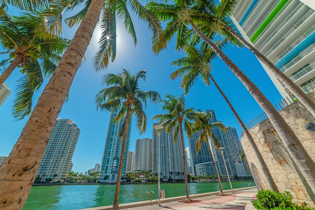 Image for Recent College Graduates Can’t Afford to Rent Alone in Miami